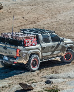 _DSC0011 2_1250px (1).JPG