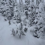 ColdTaco